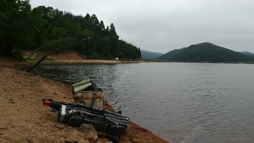 丽水学院附近哪里可以钓鱼？龙井水库钓鱼收费吗