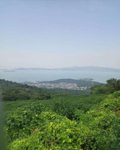 苏州东山风景区免费景点有哪些?苏州东山风景区收费吗-图2 苏州东山风景区免费景点有哪些?苏州东山风景区收费吗-图2