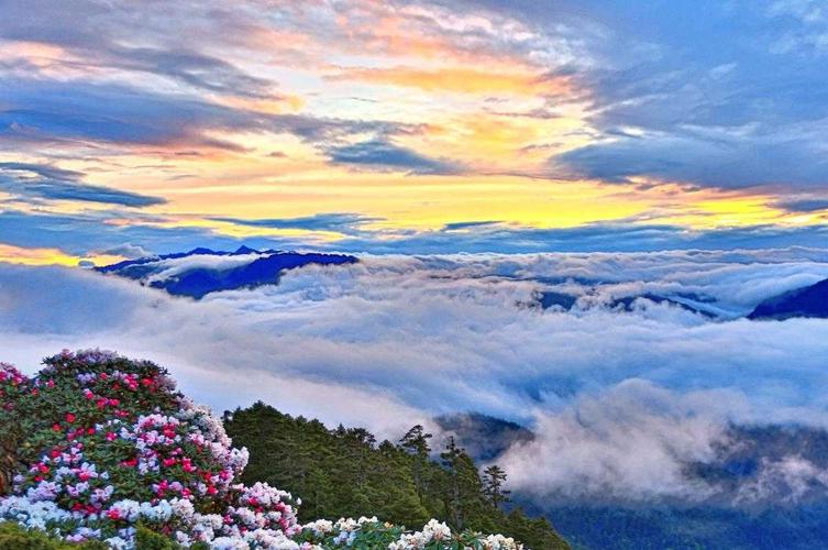 西安十个观云海的地方?黑沟杜鹃谷收费吗-图2 西安十个观云海的地方?黑沟杜鹃谷收费吗-图2