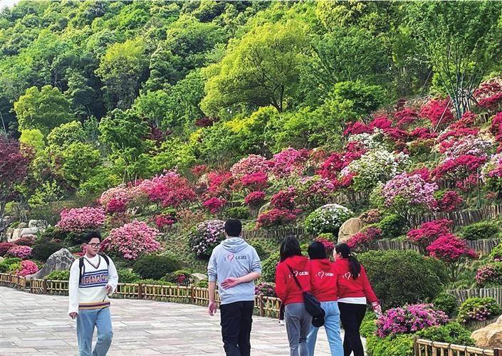 丹东锦江山杜鹃花展门票？丹东杜鹃花谷收费吗