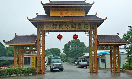 斗门景点哪好玩的地方?一棵树农庄收费-图3 斗门景点哪好玩的地方?一棵树农庄收费-图3