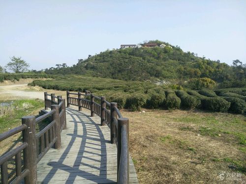余姚附近有啥好玩的地方？余姚渚山公园收费吗-图2