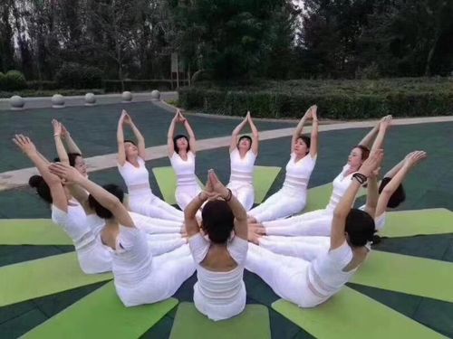 什么是瑜伽,瑜和伽分别是什么意思?爱伽瑜伽收费-图3 什么是瑜伽,瑜和伽分别是什么意思?爱伽瑜伽收费-图3