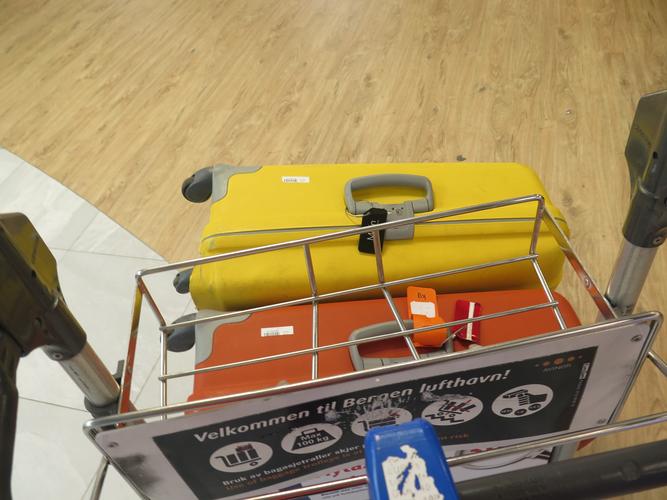 去欧洲旅游须要带哪些生活用品?北欧航空行李收费-图2 去欧洲旅游须要带哪些生活用品?北欧航空行李收费-图2