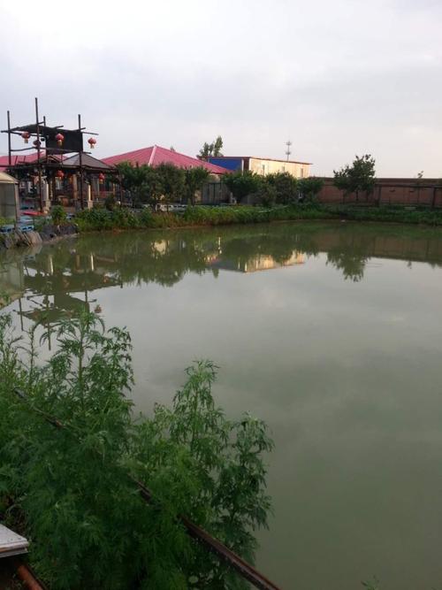 钓鱼池的标准池的尺寸是多少?钓鱼池收费标准-图3 钓鱼池的标准池的尺寸是多少?钓鱼池收费标准-图3