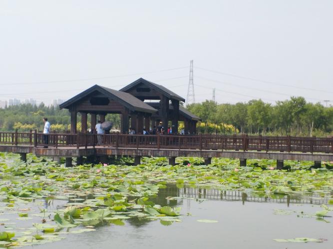 天津东丽区旅游必去的地方?东丽公园怎么收费-图2 天津东丽区旅游必去的地方?东丽公园怎么收费-图2