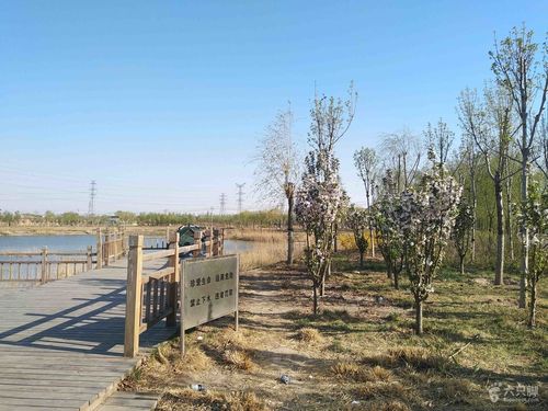 天津东丽区旅游必去的地方？东丽公园怎么收费