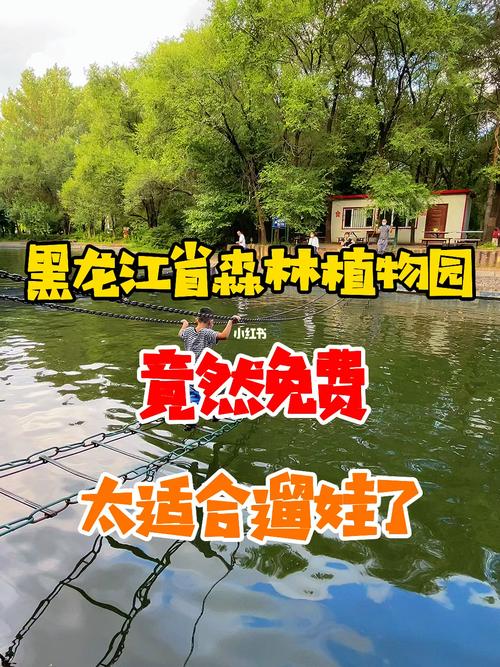 哈尔滨植物园停车攻略?哈尔滨植物园有停车收费吗-图2 哈尔滨植物园停车攻略?哈尔滨植物园有停车收费吗-图2