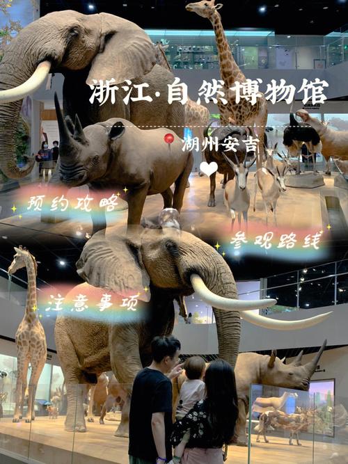 杭州自然博物馆怎样预约?杭州自然博物馆收费吗-图3 杭州自然博物馆怎样预约?杭州自然博物馆收费吗-图3