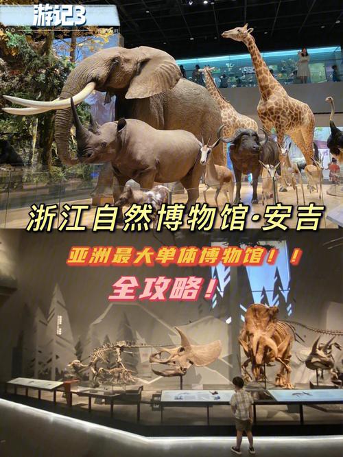 杭州博物馆和自然博物馆的区别？杭州自然博物馆收费么