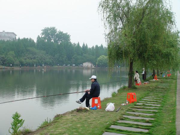 合肥到哪钓鱼最好？合肥钓鱼收费的哪里好-图3