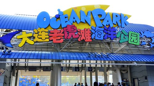 大连能下水的海滩？老虎滩 沙滩 收费