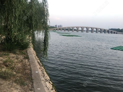山东聊城哪里有钓鱼的地方?聊城钓鱼收费的地方吗-图3 山东聊城哪里有钓鱼的地方?聊城钓鱼收费的地方吗-图3