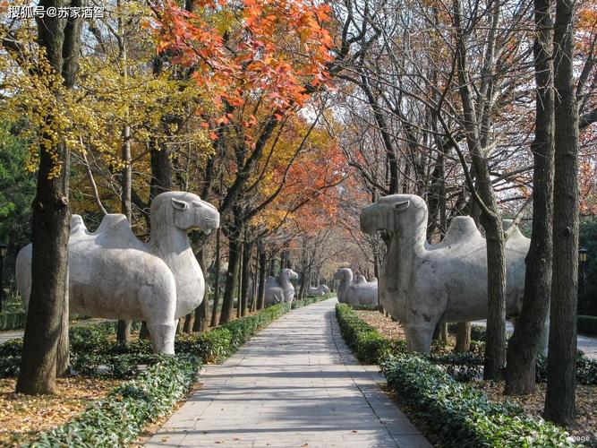 早上几点去明孝陵不收门票呀？明孝陵神道收费吗-图2