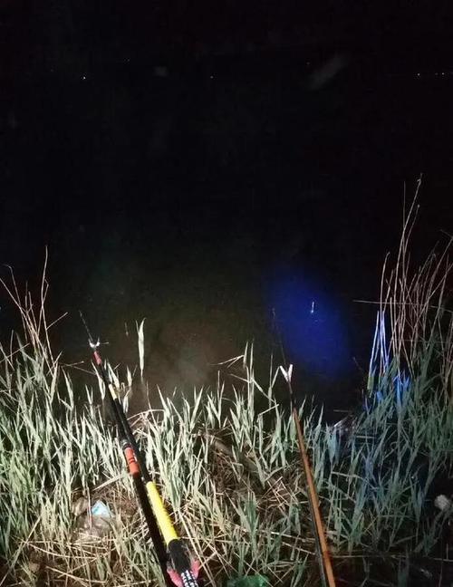 水库夜钓的正确方法?石头门水库钓鱼收费吗-图2 水库夜钓的正确方法?石头门水库钓鱼收费吗-图2