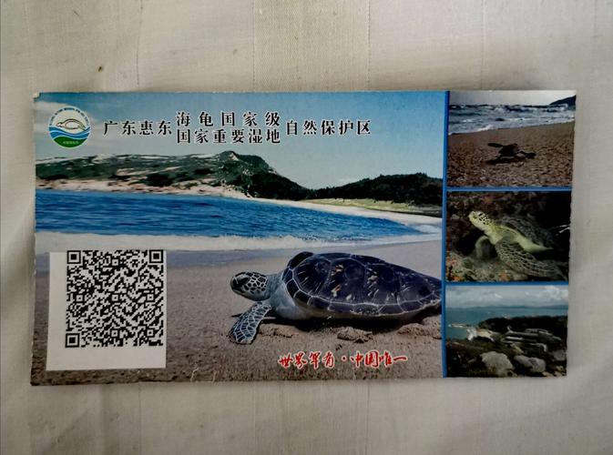 双月湾海龟馆要门票怎样参观？双月湾观景台收费么