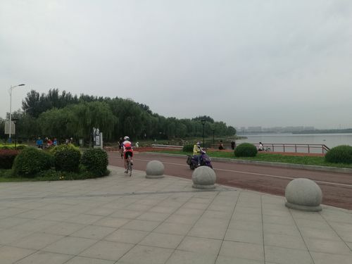 谁去过沈阳丁香湖好玩吗?塔湾体校游泳馆收费-图1 谁去过沈阳丁香湖好玩吗?塔湾体校游泳馆收费-图1