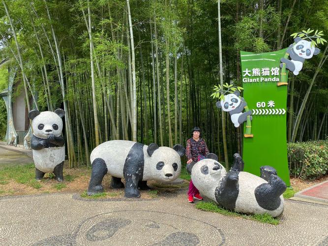 安吉竹博园游玩要多久?安吉竹博园收费项目-图2 安吉竹博园游玩要多久?安吉竹博园收费项目-图2