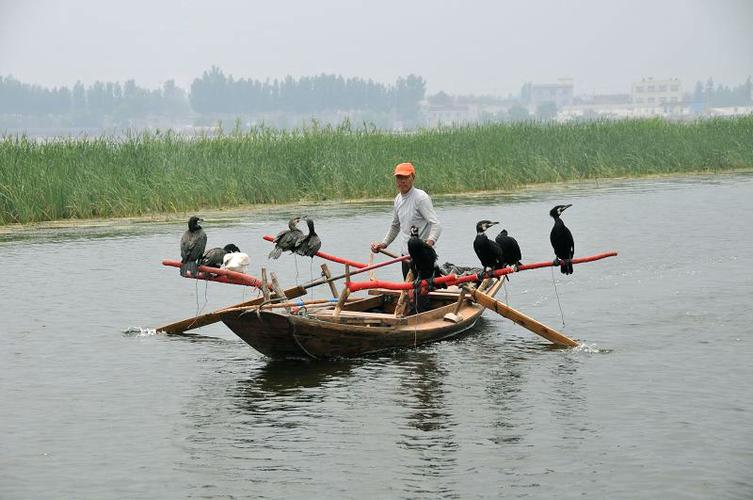 白洋淀免费景区?白洋淀打鱼怎么收费-图2 白洋淀免费景区?白洋淀打鱼怎么收费-图2