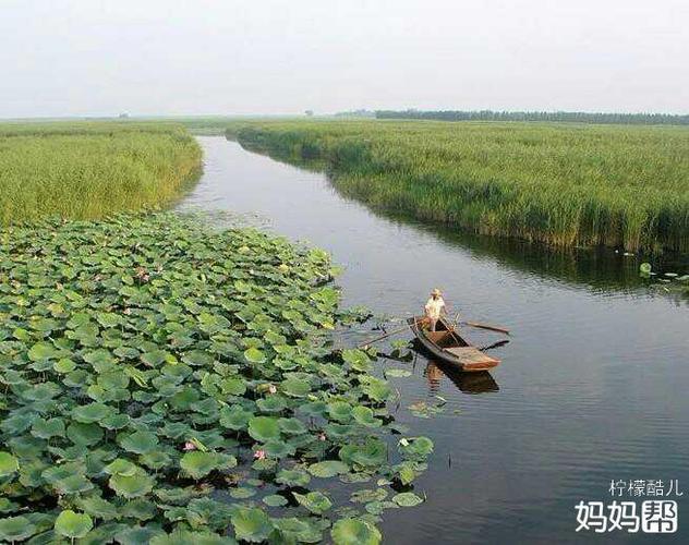 白洋淀景区70周岁以上免票吗?白洋淀景区收费标准-图3 白洋淀景区70周岁以上免票吗?白洋淀景区收费标准-图3