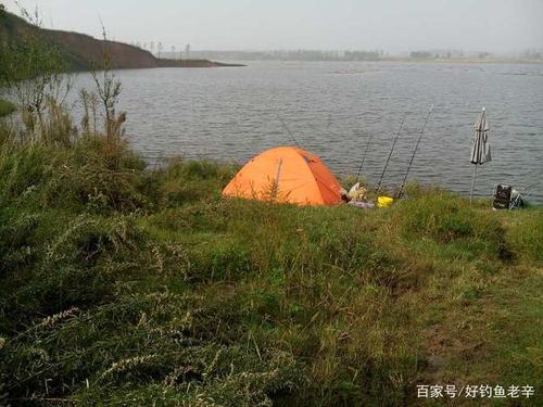 天津的钓友哪位知道北大港水库钓鱼情况啊。怎样收费?北大港水库钓鱼收费吗-图3 天津的钓友哪位知道北大港水库钓鱼情况啊。怎样收费?北大港水库钓鱼收费吗-图3