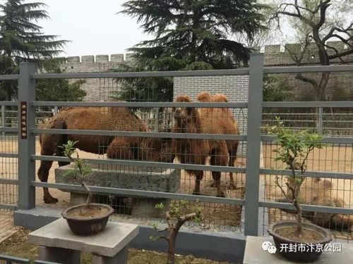 汴京公园动物园门票?汴京公园收费吗-图1 汴京公园动物园门票?汴京公园收费吗-图1