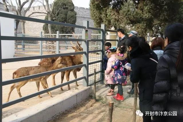 汴京公园动物园门票?汴京公园收费吗-图3 汴京公园动物园门票?汴京公园收费吗-图3