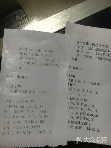 常州哪家宠物医院最便宜？常州宠物医院收费标准