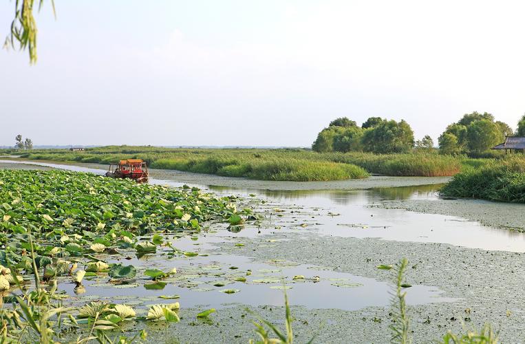 盐城旅游必去十大景点？大纵湖钓鱼收费么