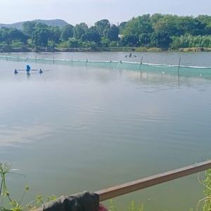水中星国际钓场钓费多少?钓场一般怎样收费-图3 水中星国际钓场钓费多少?钓场一般怎样收费-图3