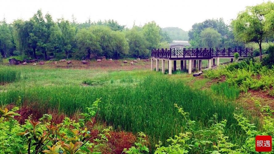 荥阳索河湿地公园占地多少亩?丁店水库收费吗-图3 荥阳索河湿地公园占地多少亩?丁店水库收费吗-图3