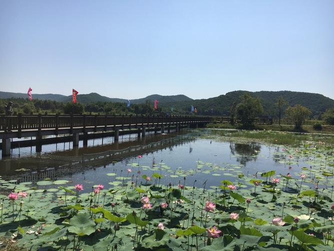 大石头亚光湖国家湿地公园门票2021?敦化亚光湖门票收费吗-图3 大石头亚光湖国家湿地公园门票2021?敦化亚光湖门票收费吗-图3