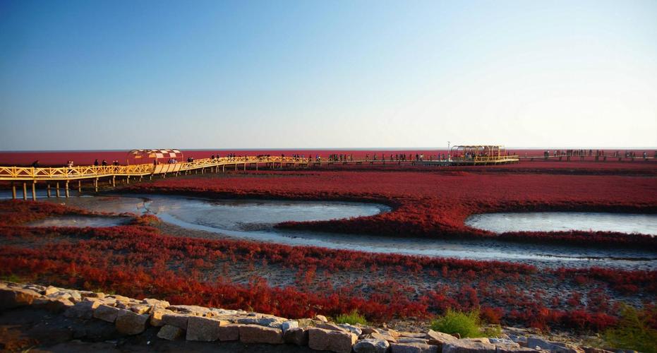 盘锦红海滩什么时候是淡季?红海滩夏季收费-图3 盘锦红海滩什么时候是淡季?红海滩夏季收费-图3
