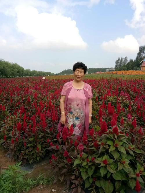 2023金珠花海什么时候开放?金珠花海收费-图2 2023金珠花海什么时候开放?金珠花海收费-图2