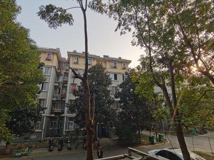 “九”字第一笔是什么?鸠?家苑停车收费-图2 “九”字第一笔是什么?鸠?家苑停车收费-图2