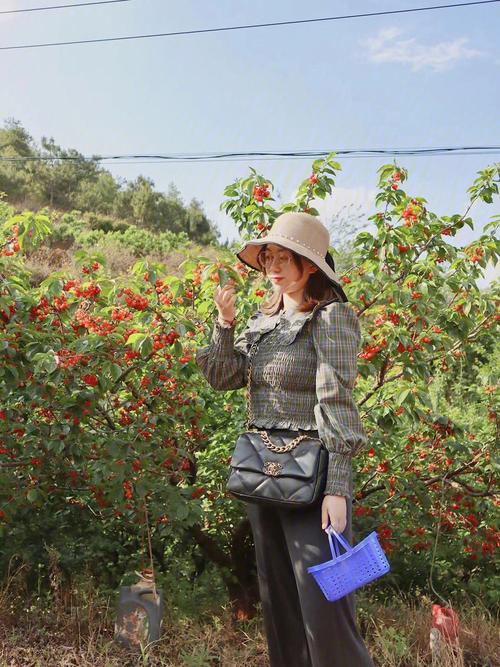 摘樱桃'的地方,不要出昆明?昆石七甸收费站-图2 摘樱桃'的地方,不要出昆明?昆石七甸收费站-图2