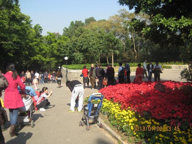 深圳莲花山公园山顶开车怎么停车?莲花山停车场收费-图2 深圳莲花山公园山顶开车怎么停车?莲花山停车场收费-图2