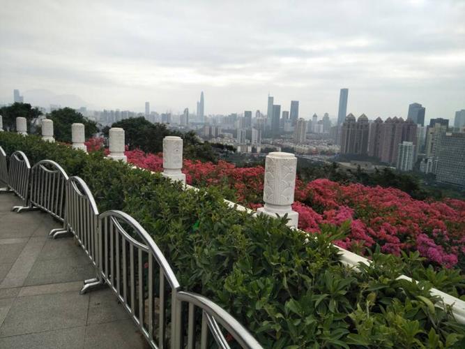 深圳莲花山公园山顶开车怎么停车？莲花山停车场收费