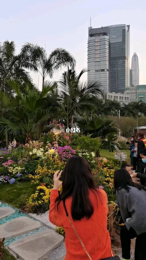 去莲花山看花展怎么停车?莲花山停车场收费标准-图2 去莲花山看花展怎么停车?莲花山停车场收费标准-图2