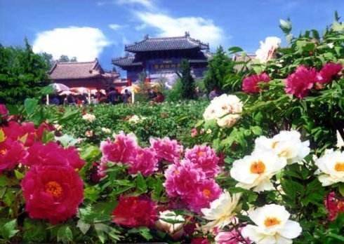 运河牡丹园怎么收费?旅游景点乱收费实例-图2 运河牡丹园怎么收费?旅游景点乱收费实例-图2