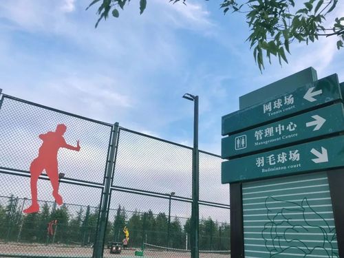 洛阳哪里有适合打网球的地方？洛阳八一路幼儿园收费