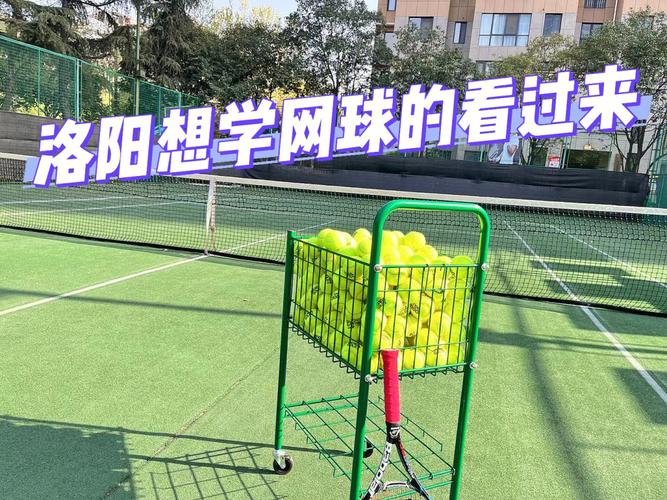 洛阳哪里有适合打网球的地方?洛阳八一路幼儿园收费-图2 洛阳哪里有适合打网球的地方?洛阳八一路幼儿园收费-图2
