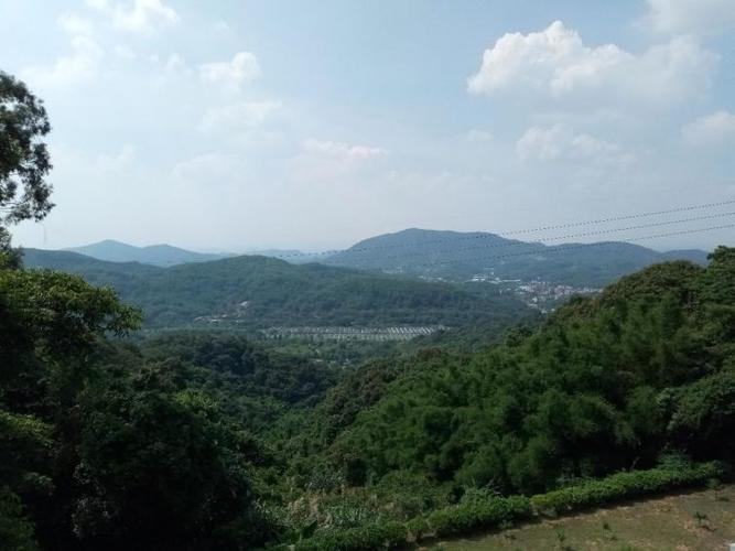 广东省广州市白云区晚上有哪里好玩地?帽峰山收费-图2 广东省广州市白云区晚上有哪里好玩地?帽峰山收费-图2