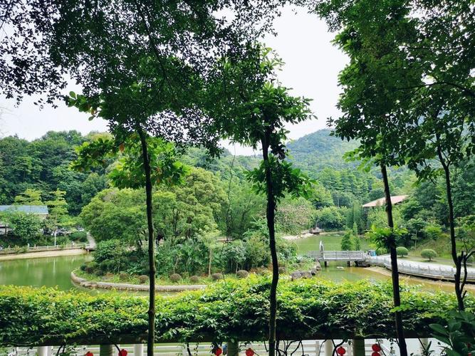 广东省广州市白云区晚上有哪里好玩地?帽峰山收费-图3 广东省广州市白云区晚上有哪里好玩地?帽峰山收费-图3