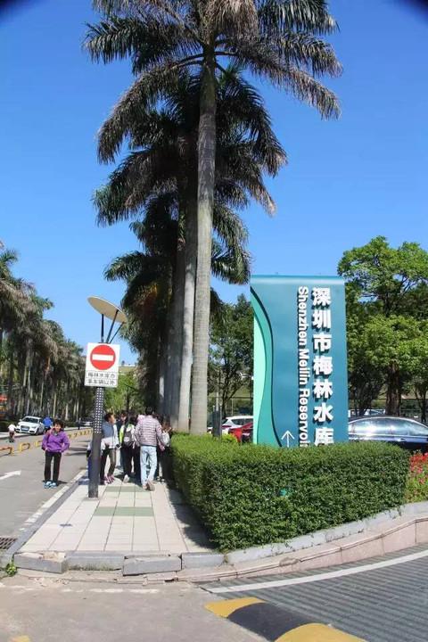 上梅林有什么地方好玩?梅林文体中心停车收费-图3 上梅林有什么地方好玩?梅林文体中心停车收费-图3