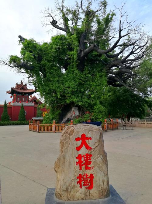 山西大槐树到祁县有多少公里?祁县至灵石几个收费站-图2 山西大槐树到祁县有多少公里?祁县至灵石几个收费站-图2