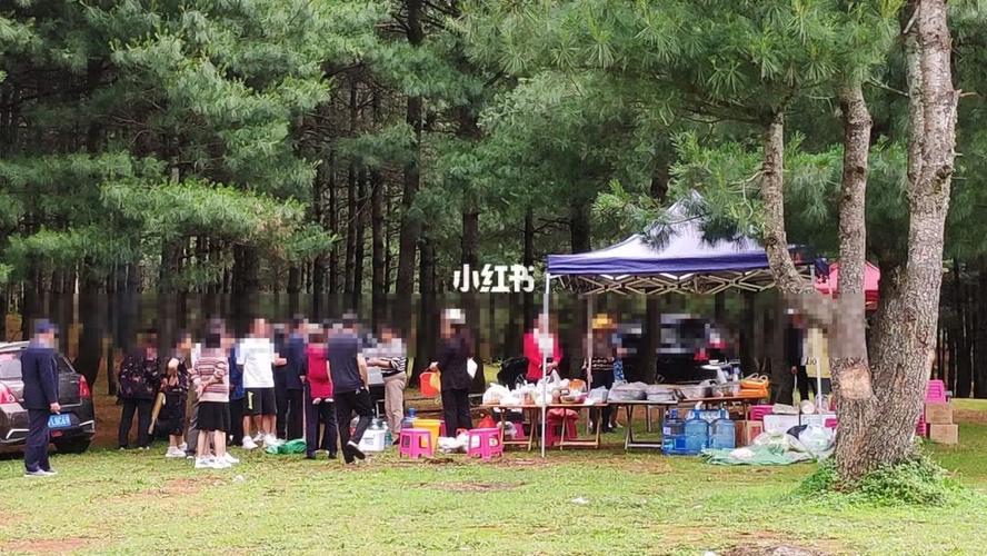 昆明大哨森林露营怎么走？去军马场收费吗