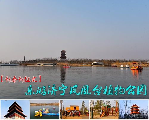 济宁凤凰古城位置？任城凤凰台收费吗