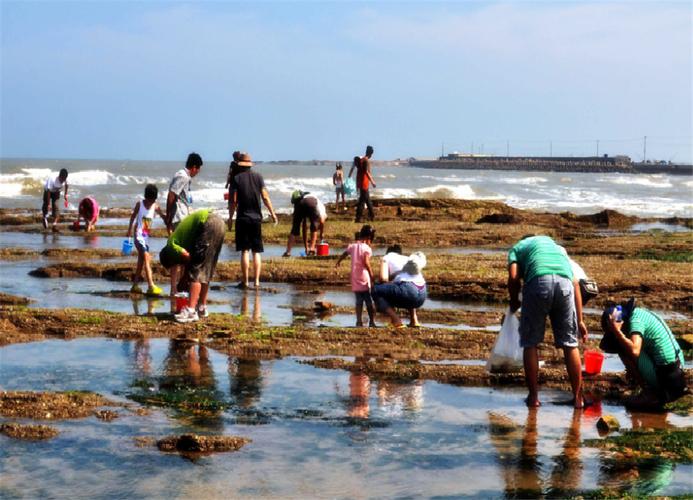 日照赶海园免费的哪个好？日照海边不收费去哪里