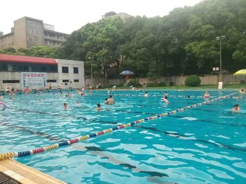长沙有什么好的游泳馆?三江清爽游泳池收费-图2 长沙有什么好的游泳馆?三江清爽游泳池收费-图2